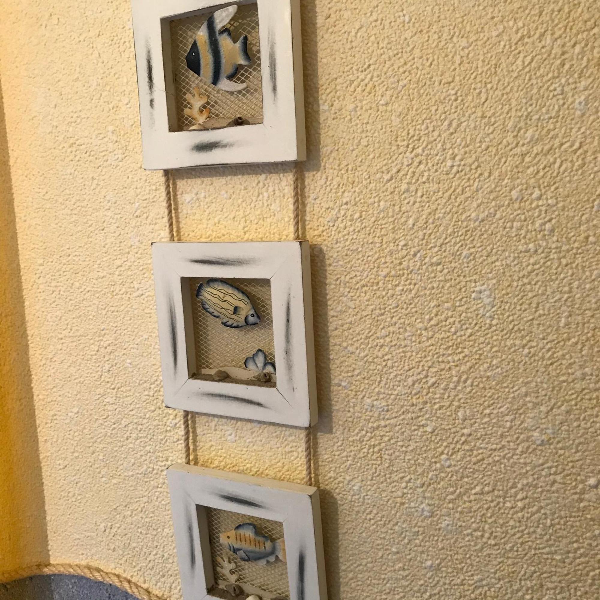 Apartament Sonnenwind Prerow Zewnętrze zdjęcie